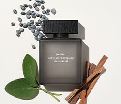 Narciso Rodriguez for him Parfum Flakon