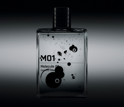 MOLECULE