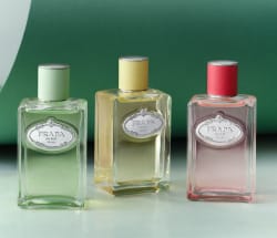 Prada Les Infusion Flakons